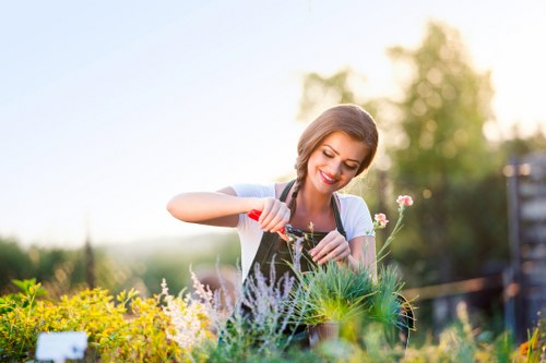 Landscape gardening in Welling with patio and planting design