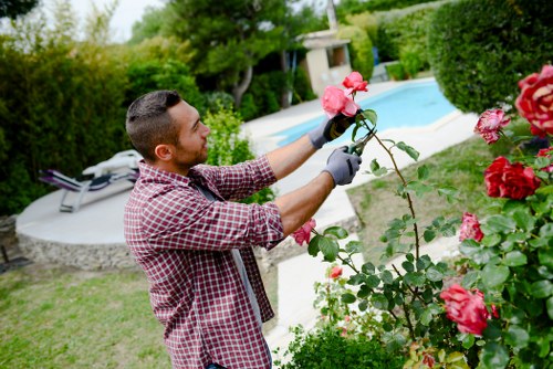 Person using a screen reader to access Gardeners Welling information