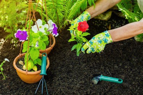 Professional garden clearance in Welling for tidy outdoor spaces