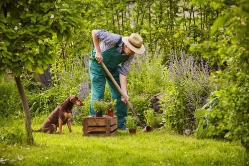 Seasonal patio maintenance and cleaning in Welling