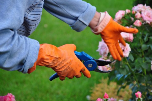 Gardeners Welling pricing explained with a free quote and transparent rates