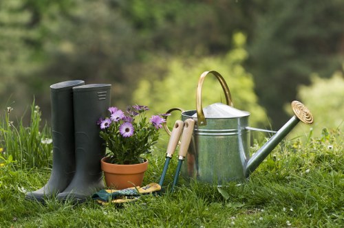 Soft landscaping in Welling with lawn, borders, and shrubs