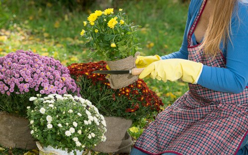 Customer concern review for garden maintenance service