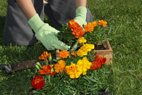 Balanced garden design and maintenance in Welling