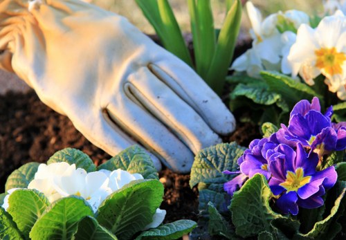 Final stage of a gardening complaints procedure