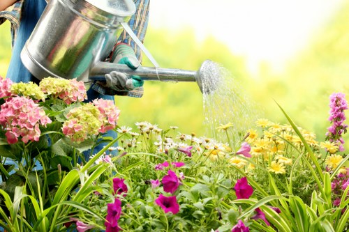 Low-carbon van used by Gardeners Welling for eco-friendly collections
