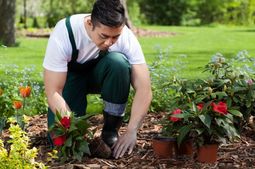 Waste disposal and compliance terms for garden work