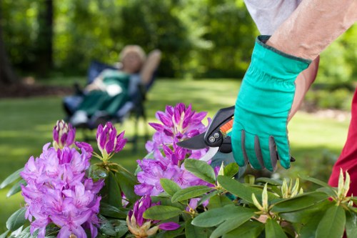 Professional hedge trimming and lawn care in a Welling garden