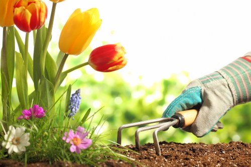 Inclusive Gardeners Welling service page on a desktop screen