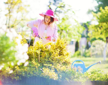 Professional garden maintenance in Welling with hedges and planting