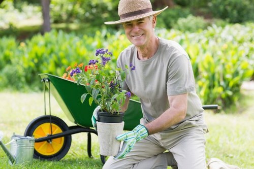 Seasonal lawn care in Welling with edging and mowing for a clean garden finish