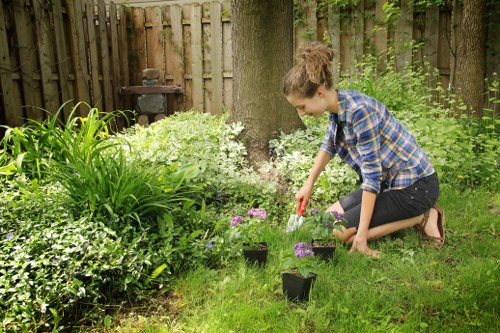 Freshly cut garden grass in Welling after routine lawn care
