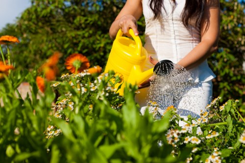 Seasonal lawn care in Welling with patch repair and aeration