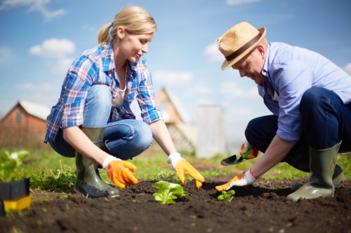 Supplier audit process supporting ethical gardening services