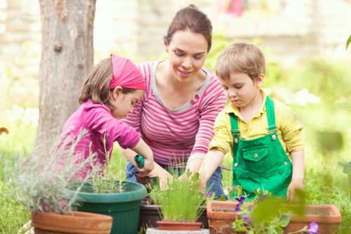Professional garden design and landscaping in Welling