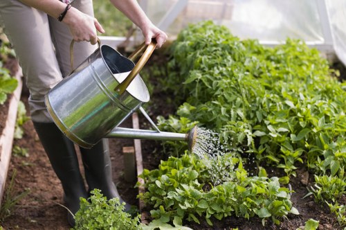 Garden service issue assessment with detailed notes
