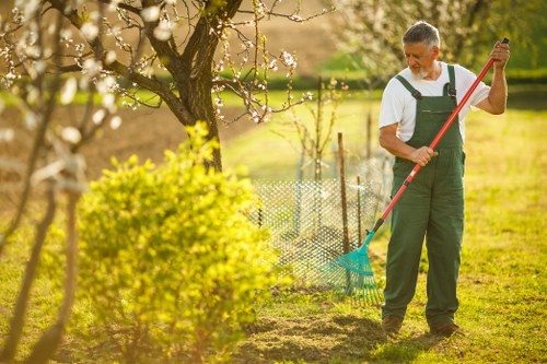 Garden hedge maintenance in Welling with clean, even shaping