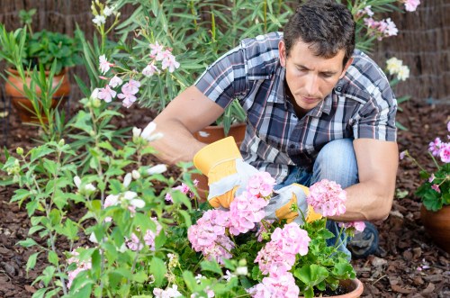 Reliable Gardeners Welling improving a well-kept outdoor space