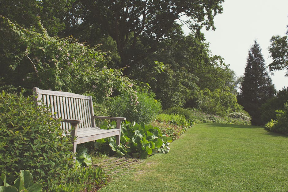 A well-maintained garden scene with a wooden bench positioned on a gravel pathway adjacent to lush, trimmed grass. The garden features a variety of plants and shrubs, including leafy green hedges and 