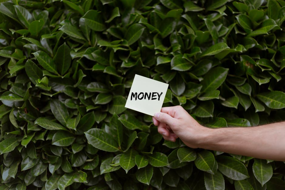 A close-up view of a dense hedge with glossy green leaves, showing various shades of green and a slightly textured surface. In the foreground, a hand is holding a small white card with the word 'MONEY