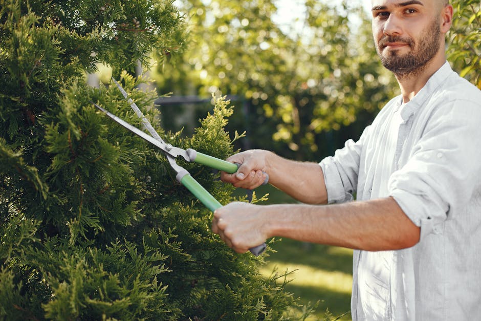 A close-up view of a dense hedge with glossy green leaves, showing various shades of green and a slightly textured surface. In the foreground, a hand is holding a small white card with the word 'MONEY